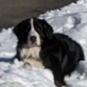 Meet your Posher, Marc